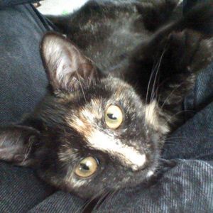 Meet your Posher, Lynn